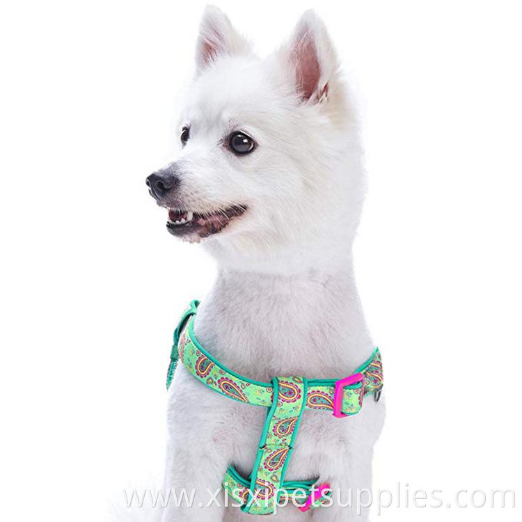 Paisley Flower Green Printing Neoprene Padded Dog Harness